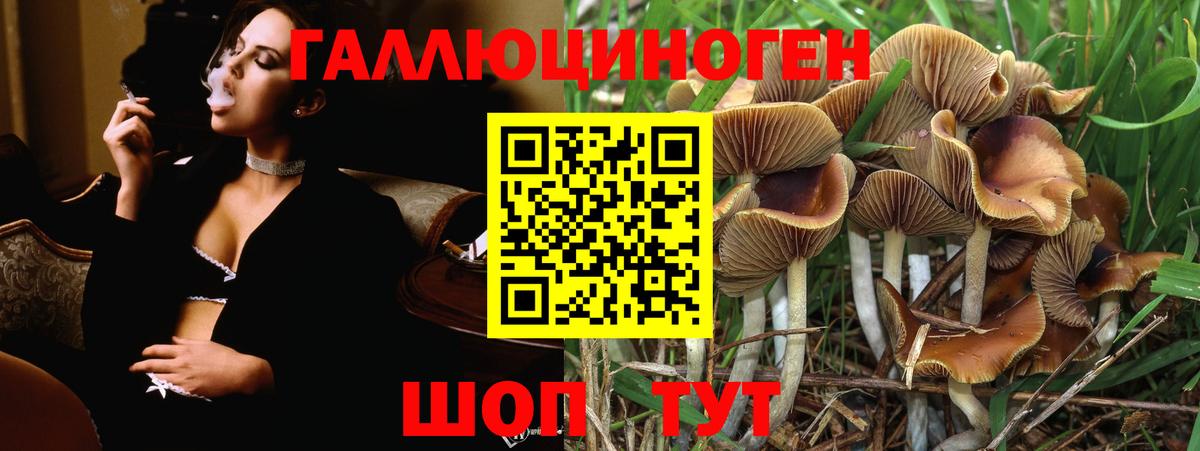 Псилоцибиновые грибы мицелий  Вход с VPN  магазин продажи   Долгопрудный 
